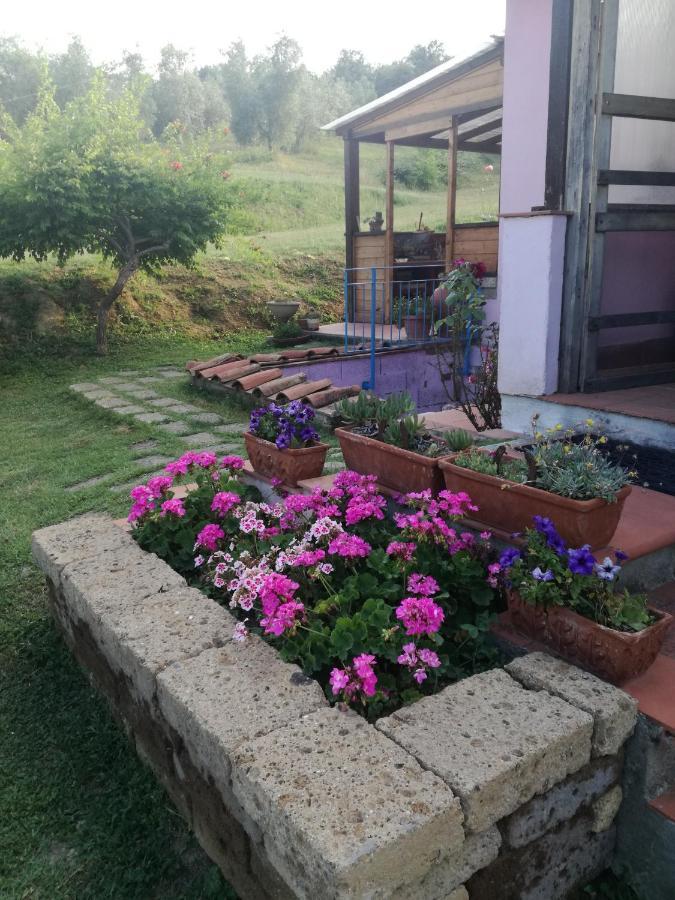 Agriturismo Campolungo Sant'Ermo Exterior photo